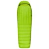 Sea To Summit Ascent AcI - Daunenschlafsack